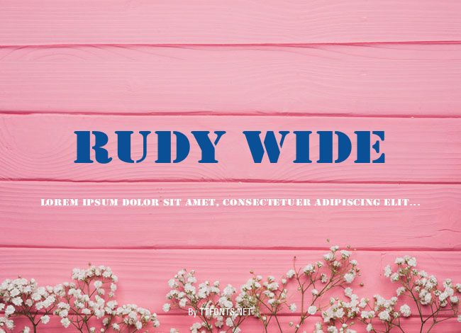 Rudy Wide example